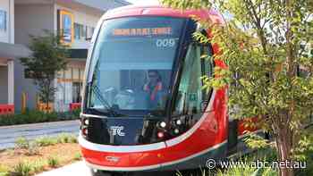 Could making public transport free get more Canberrans on board?