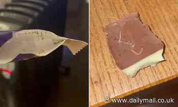 Woman finds MAGGOTS crawling in a Freddo she bought at Woolworths