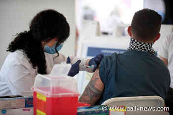 LA County reports no new coronavirus deaths Sunday, 313 new cases - LA Daily News
