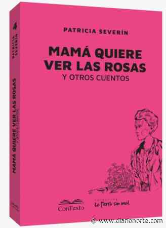 Patricia Severín: “A Buenos Aires no le importan las provincias” - Diario NORTE