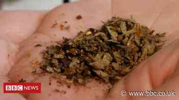 Spice deaths in Newcastle prompt bad batch warning