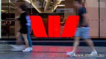 Westpac profit rebounds as home loans grow; retailer Premier to repay JobKeeper