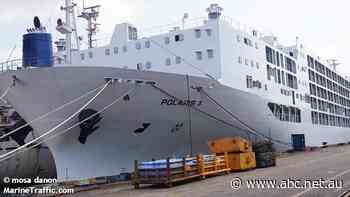 Crewman being tested for COVID-19 after fleeing livestock ship in north Queensland