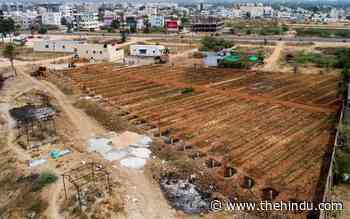 TUDA plans ‘mini forest’ near Tirupati - The Hindu