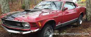 1970 Ford Mustang Mach 1 Parked in the Forest Needs Total Restoration - autoevolution