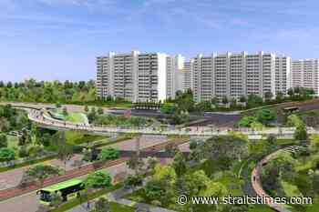 Mitigation measures can cut environmental impact of expressway work in Sembawang forest: Report - The Straits Times