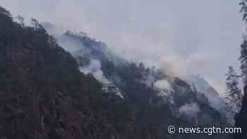 Wildfire breaks out in SW China forest - CGTN