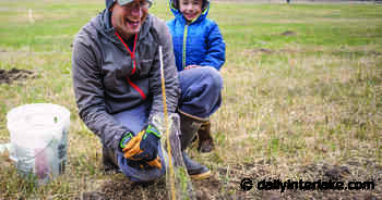 In response to development, family plants a forest - Daily Inter Lake