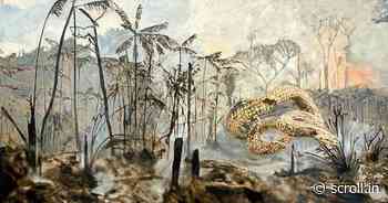 In Subodh Gupta’s paintings of forest fires, our ecological fears and fates get conflated - Scroll.in