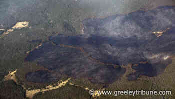 4 trails reopen in forest area hit by Cameron Peak Fire - Greeley Tribune