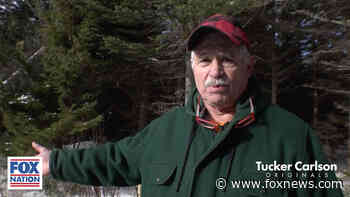 Foreign companies could make millions, while destroying Maine's forest in the name of green energy - Fox News