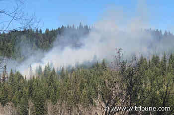 Province prohibits Category 3 burning in 100 Mile Forest District, effective May 3 – Williams Lake Tribune - Williams Lake Tribune