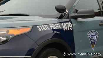 Missing Massachusetts woman and dog located after search of Peru State Forest - MassLive.com