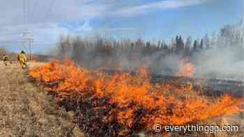 Wildfire hazard moderate in Grande Prairie Forest Area - EverythingGP