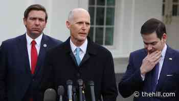 Will DeSantis, Rubio and Scott torch each other to vault from Florida to the White House? | TheHill - The Hill