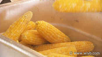 Eden Corn Fest 2021 in limbo as organizers await county and NYS guidance