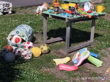 Ardea, parco usato per disfarsi di giocattoli rotti. L'associazione: Ora basta - Il Caffè.tv