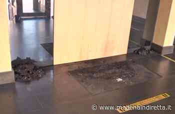 Raid incendiari a Modena, l'autore avrebbe problemi psichici - modenaindiretta.it