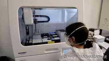 Contagio stabile, 187 casi a Modena. Giù i ricoverati - ModenaToday