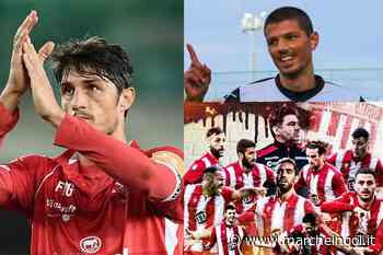 Il Matelica, Bortolussi, Melchiorri: la Serie C parla maceratese - marcheingol.it