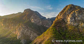Mozambique Mints a New National Park — and Surveys Its Riches
