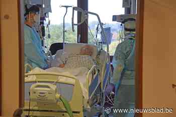 Minder dan twintig coronapatiënten opgenomen in Sint-Blasiusziekenhuis<BR />