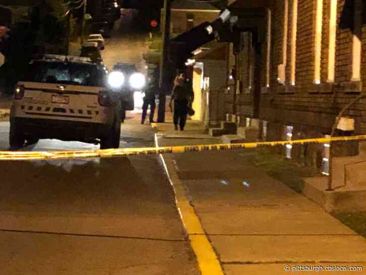 Man Shot In The Head, Killed In McKees Rocks