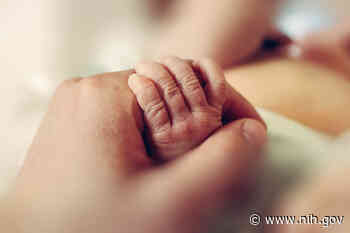 Medical records analysis links cannabis use disorder in pregnancy to infant health problems - National Institutes of Health