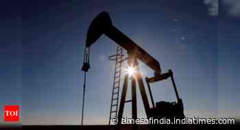 'Opec's share of Indian oil imports plunges to two-decade low'