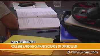 NY colleges adding cannabis courses to the curriculum