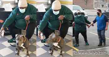Dog reunited with owner 8 years after it went missing in Rochester