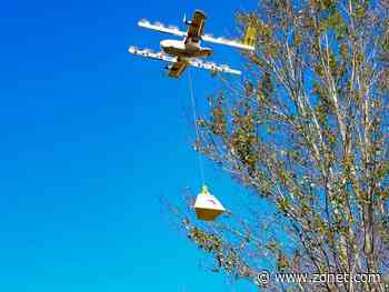 Staggering approval for Alphabet drone among early customers