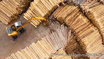 Holzpreise und Sägestreik: Wird Holz in Deutschland zu teuer und knapp?