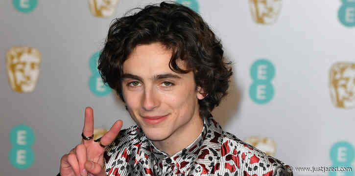 Timothee Chalamet to Reportedly Co-Host Met Gala 2021 in September!