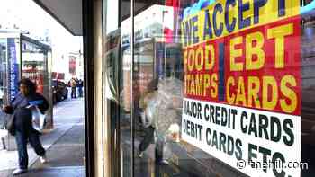 Biden administration eyeing long-term increase in food stamps: report