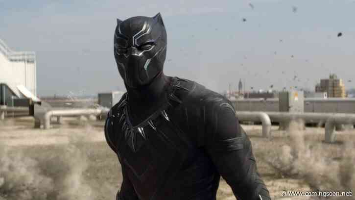 Black Panther 2 & Captain Marvel 2 Get Official Titles