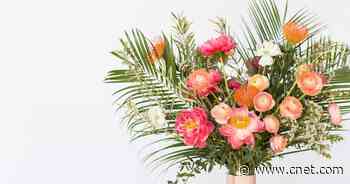 These flower delivery deals will still arrive by Mother's Day     - CNET