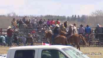 Alberta Health Services explores legal options after hundreds attend rodeo