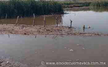 Escombro y descargas contaminan la Laguna de Coatetelco - El Sol de Cuernavaca