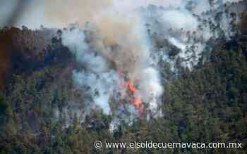 Incendios en Tetela del Volcán fueron provocados: ejidatarios - El Sol de Cuernavaca