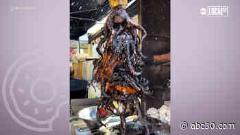 'Evil Cooks' serve up tacos with tentacles