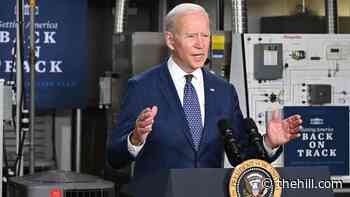 Biden: US will be in 'very different position' by summer in coronavirus fight