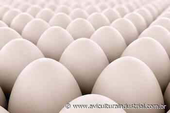 Granja em Goiatuba deverá produzir até 360 mil ovos por dia para vacina Butanvac, diz empresa - Avicultura Industrial