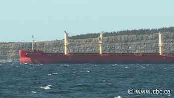 Seafarers' union 'fighting hard' for vaccinations as quarantined cargo ship stays anchored off N.L.