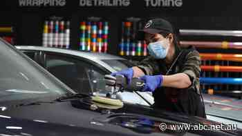 Scorn and sabotage no match for Iran's 'Miss Detailer'