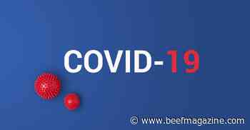 COVID antibodies developed in South Dakota cattle study