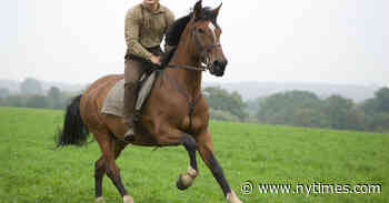 Stream These 13 Movies and Shows Before They Leave Netflix in May