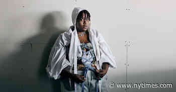 The Artist Who Transforms Galleries Into Forests and Fields