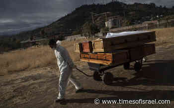 For first time, Brazilian, Chilean coronavirus variants found in Israel - The Times of Israel
