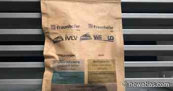 Recyclable "bioactive" paper bag could replace plastic food wrap - New Atlas